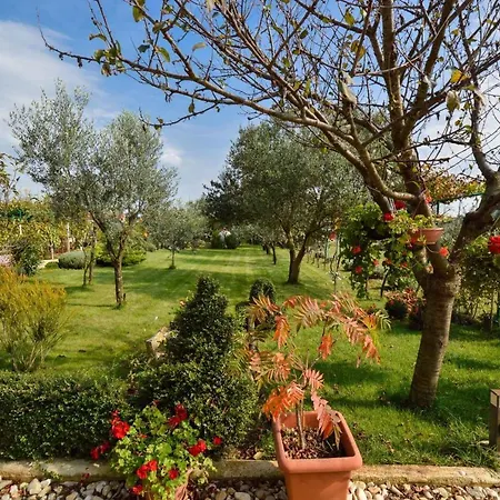 Apartment One-bedroom Near Sea 1 *
