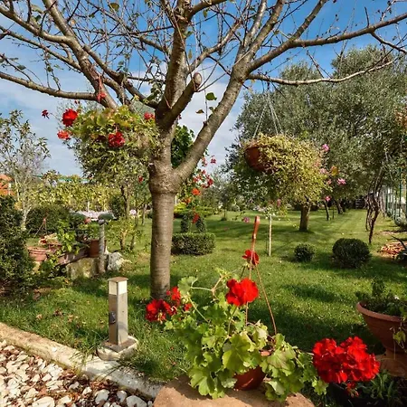 Apartman One-bedroom Near Sea 1 *